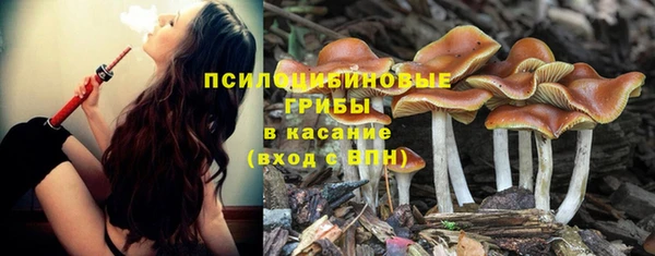 MDMA Premium VHQ Медвежьегорск