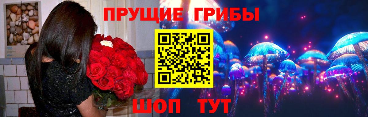 Галлюциногенные грибы Psilocybine cubensis  Вход с VPN  закладка  Псилоцибиновые грибы Cubensis  Уссурийск 
